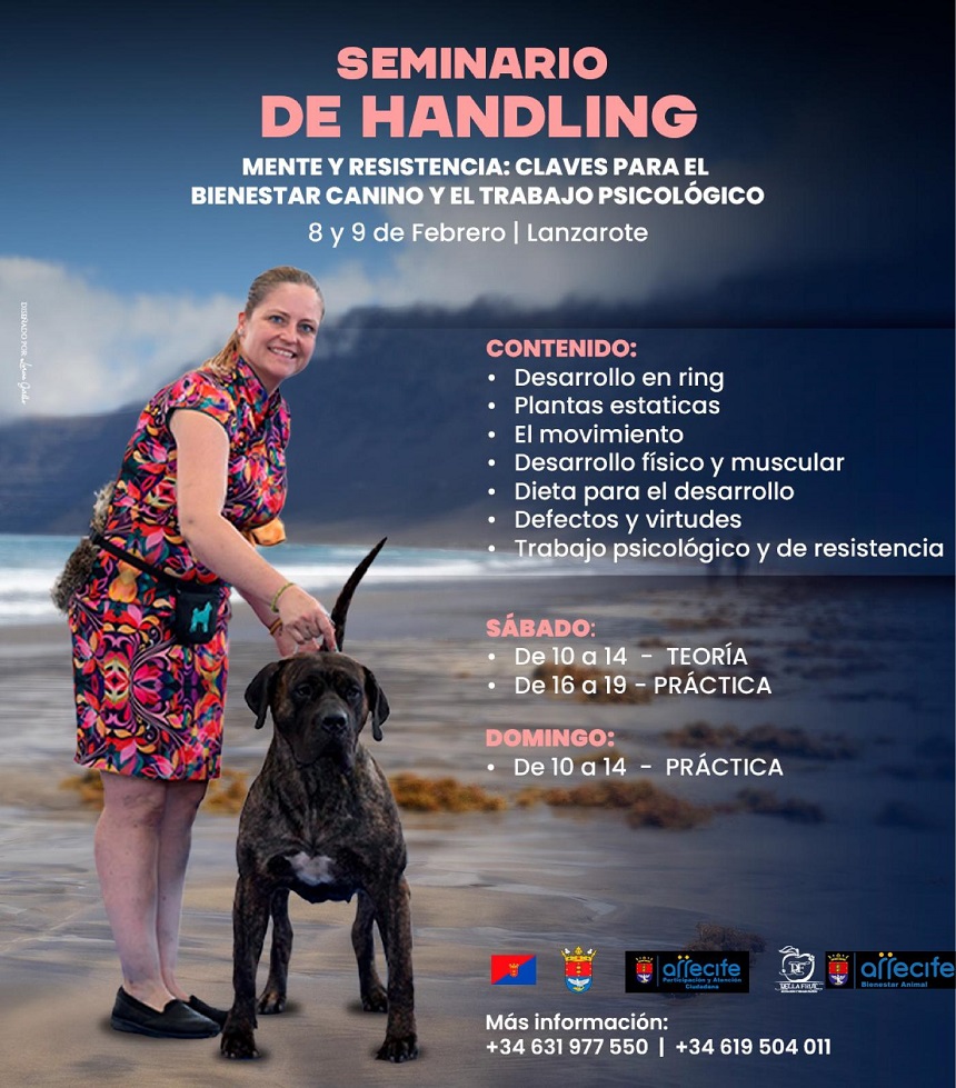 Cartel seminario Handling