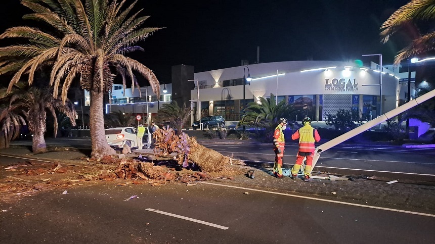 Estado de la palmera tras el choque.