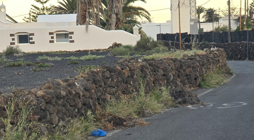 La vecina se queja además de la suciedad de cómo están los márgenes de las carreteras.