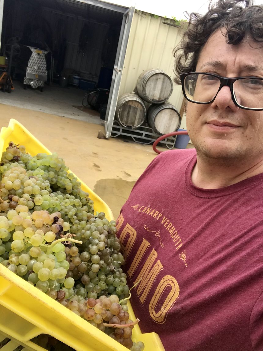 Davide con la uva que utiliza para elaborar el vermut.