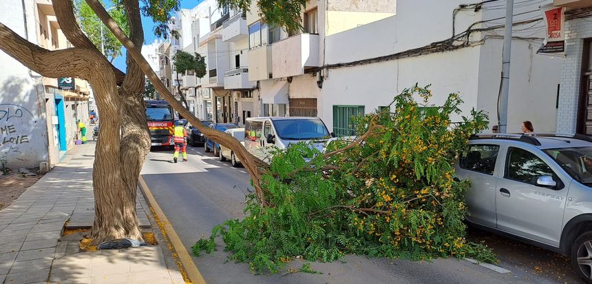 Por fortuna, no pasaba ningún coche en el momento de la caída