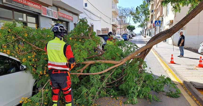 Los bomberos tuvieron que emplearse a fondo para quitar la rama de la zona