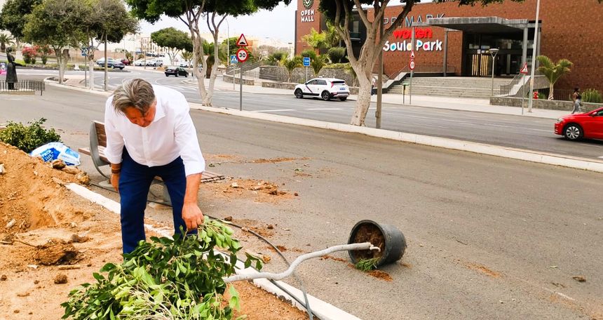 Los hasta ahora dañados árboles de la Vía Medular han sido reemplazados por nuevos ejemplares. El concejal Roberto Herbón supervisa estos trabajos