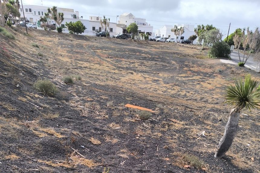 Estado de abandono de uno de los jardines del municipio.