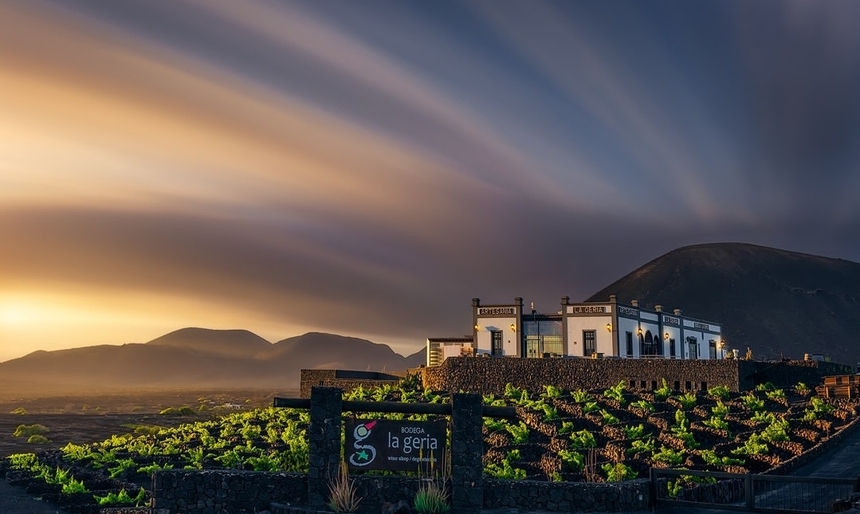 Image of the La Geria winery.