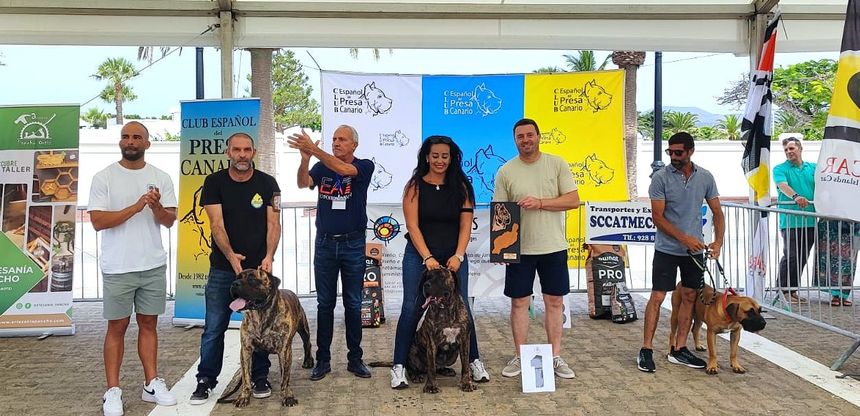 Event in Yaiza Promotes Awareness and Appreciation for the Presa Canario Breed