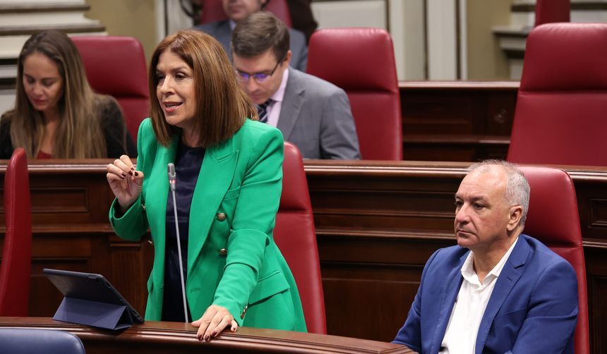 Carmen Hernández y Luis Campos en el Parlamento autonómico