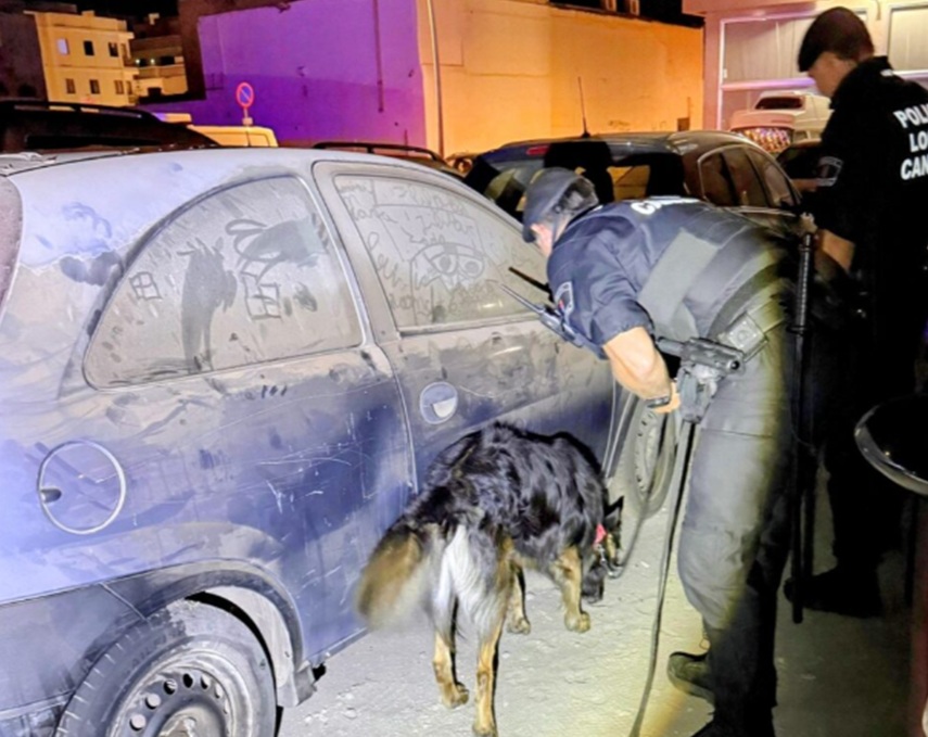 Los agentes utilizan perros especializados en sus redadas.