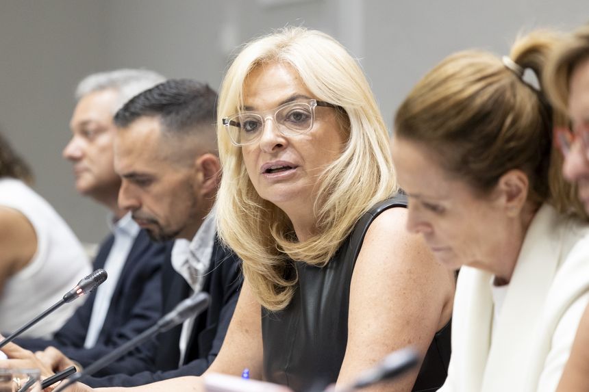 Esther Monzón durante la Comisión