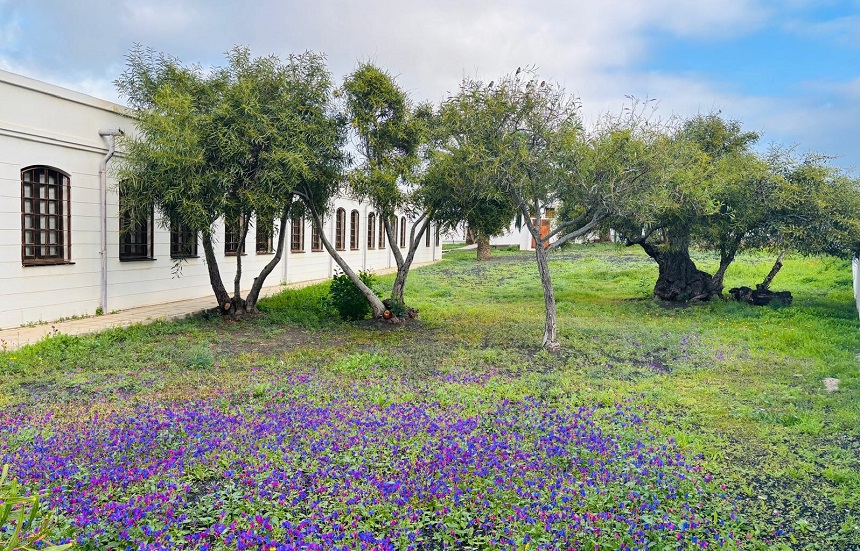 Consultorio de Mala 1