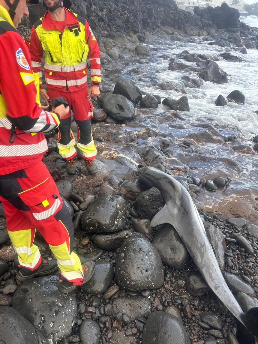 IMG-20260323-WA0000 (1)