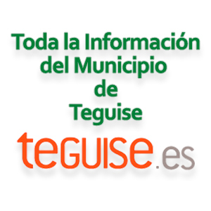 Publicidad 363538